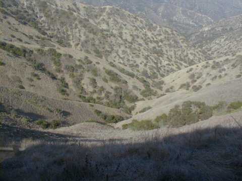 Valleys on Catalina Island