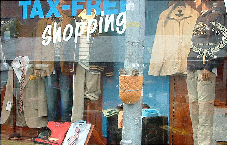 Stavangar: Lamp-post bird feeder