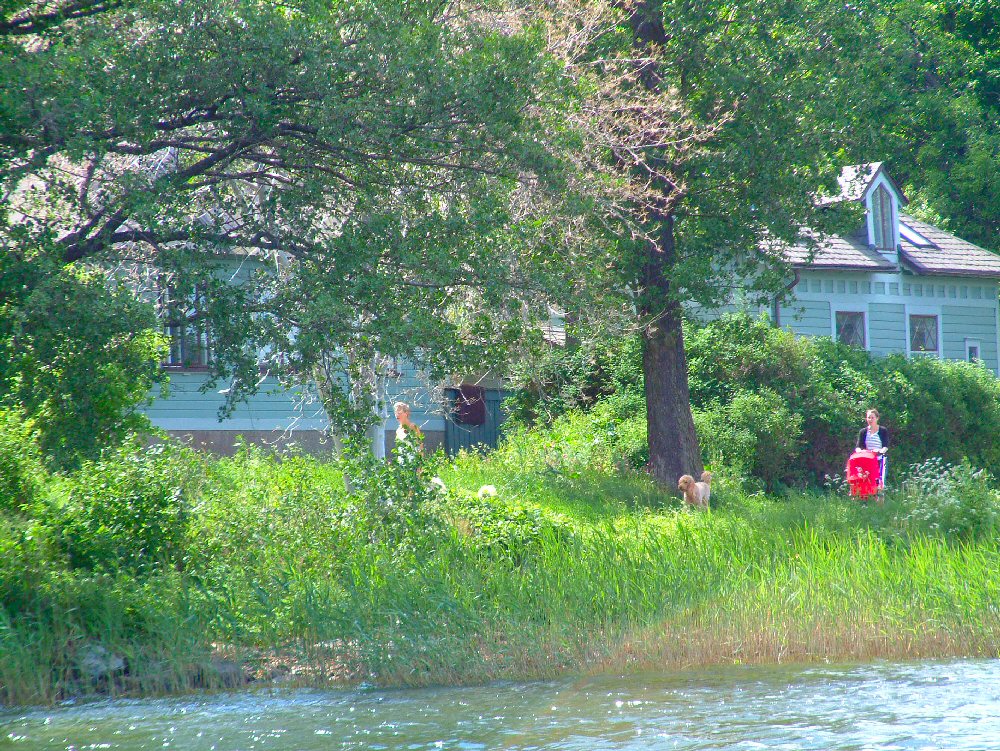 Stockholm: Djurg�rden