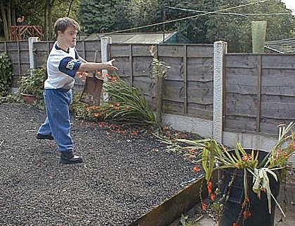 Weeding the back garden at home