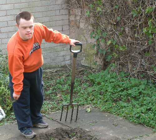 In the Garden at Chestnut Street, Southport