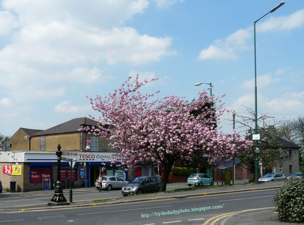 Gee Cross in Springtime