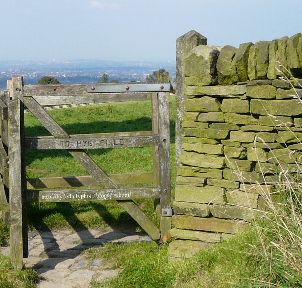 Kissing Gate to Rye Field