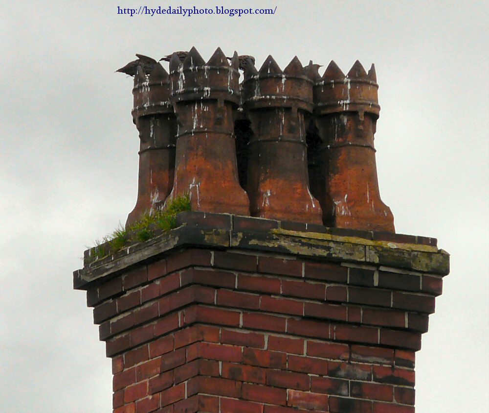 Market Street Chimney Pots