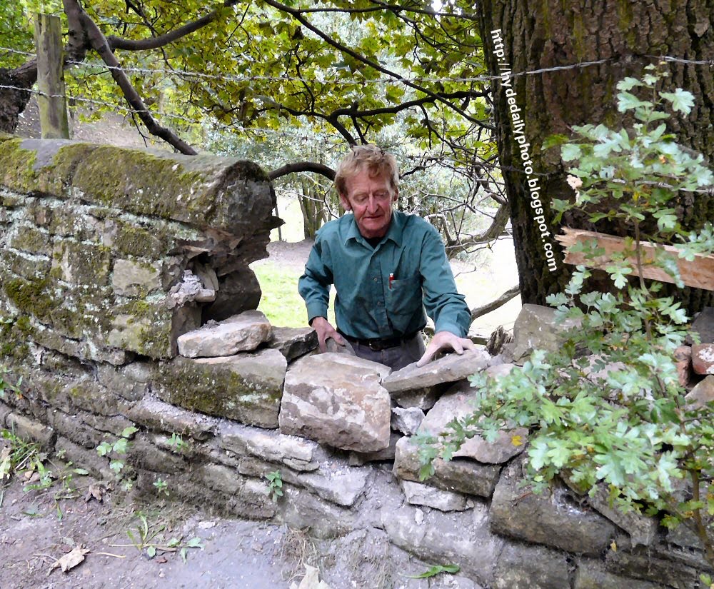 Drystone Waller at Dunkirk Farm