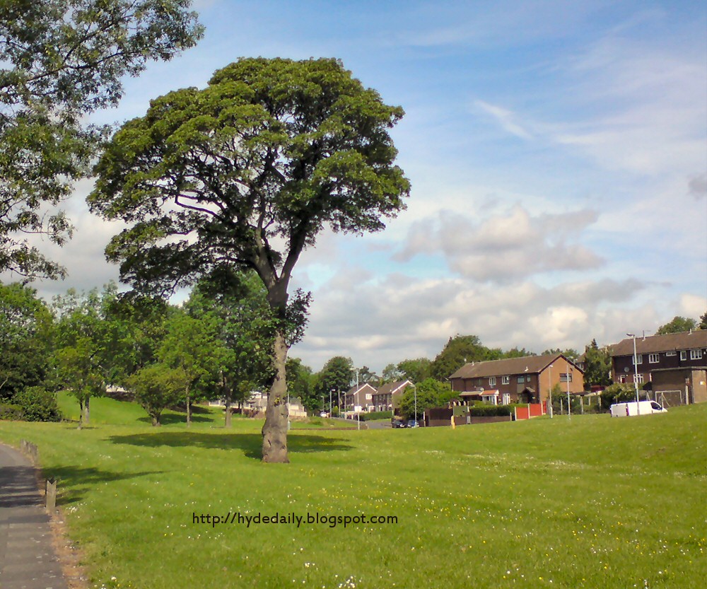 Wardle Brook Avenue