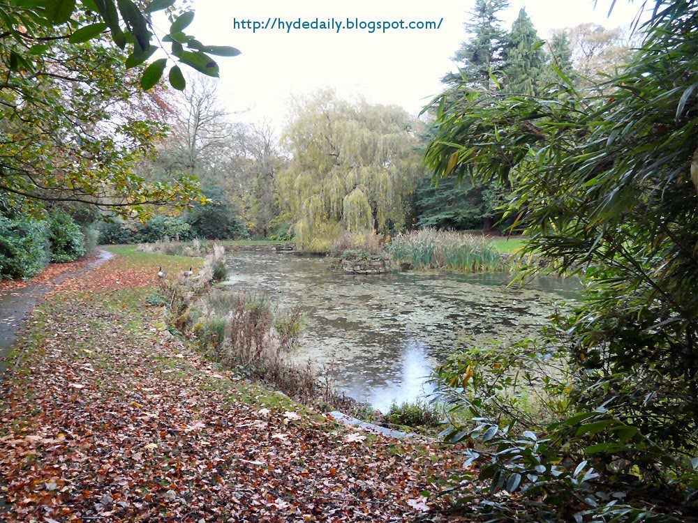 Pond at Pole Bank