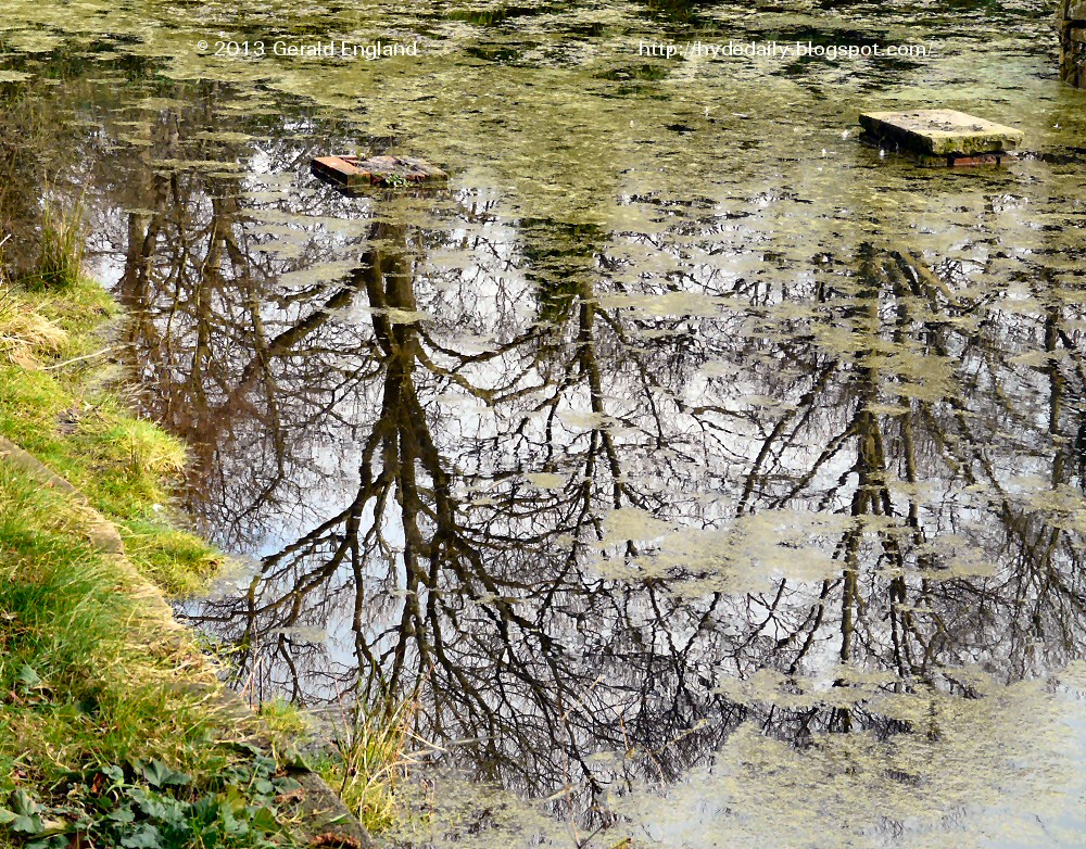 Pole Bank Pond