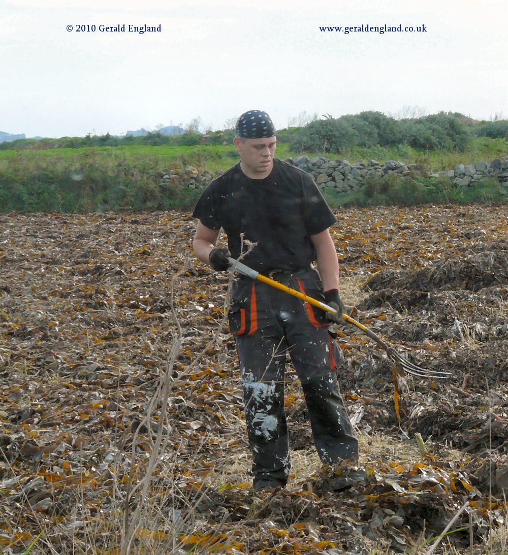 L'Etacq: Spreading Seaweed