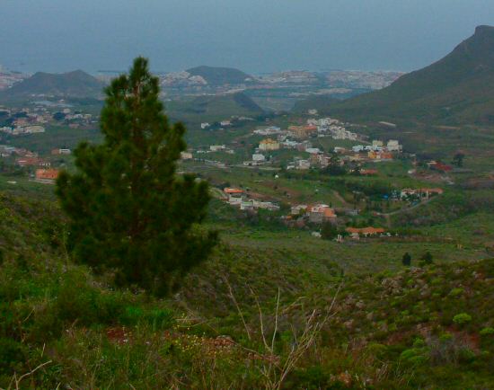 Arona from La Escalona