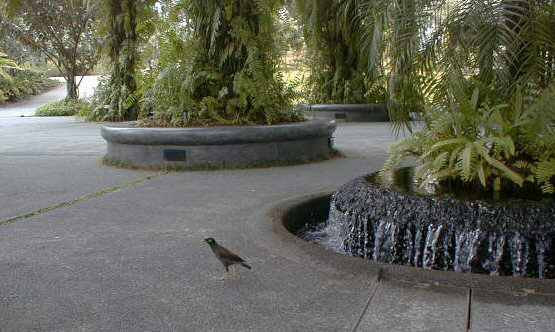 Botanic Gardens, Singapore