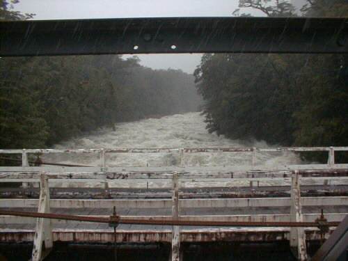 Cleddau River, Milford Sound