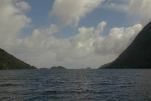 Febrero Head, Doubtful Sound