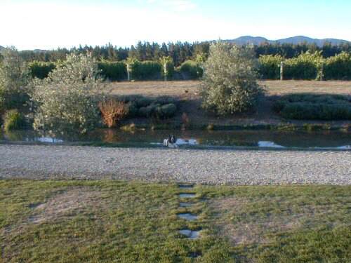 Le Grys Vineyard, Renwick