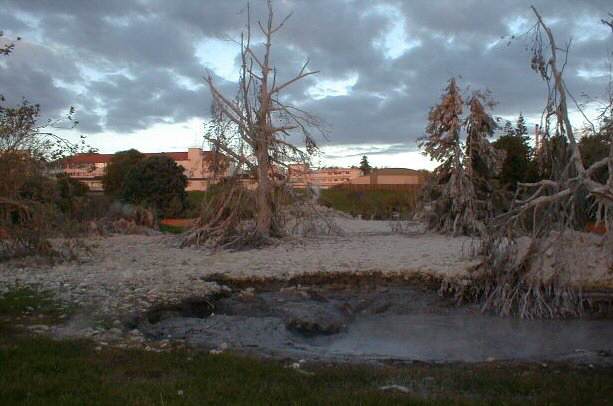 Volcanic aftermath in Kuirau Park, Rotorua