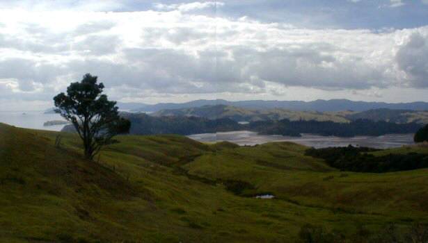 Coromandel: looking down at Manaia Harbour