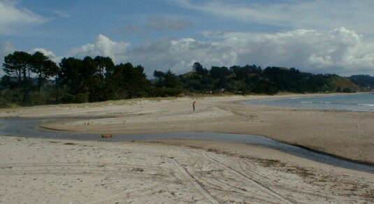 Kuaotunu Beach, Coromandel