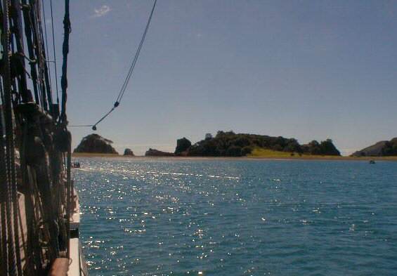 Bay of Islands: Roberton Island