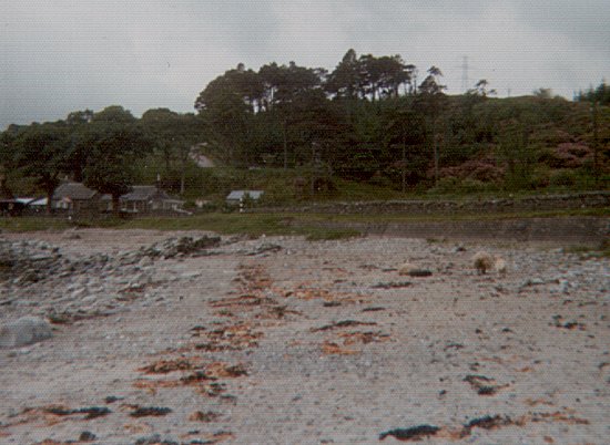 Grogport, June 1976