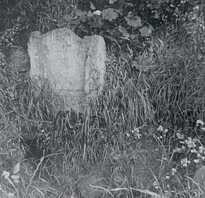 Hampole: Little John's Well, 1967