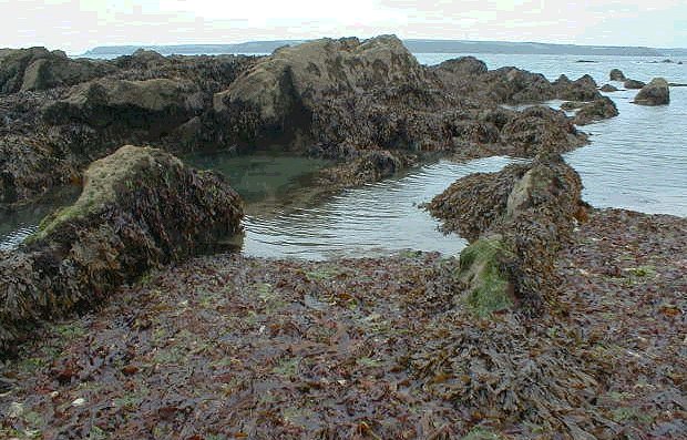 West Angle Bay, September 2000