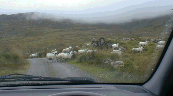 Iveragh: Mountain road, September 2000