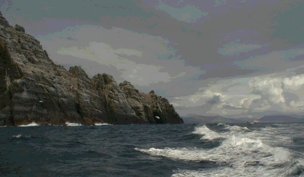 Little Skellig, September 2000