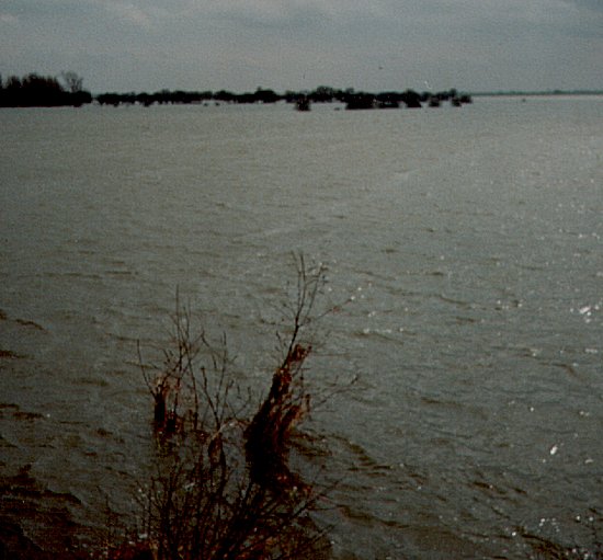 Welney Marsh, April 1979